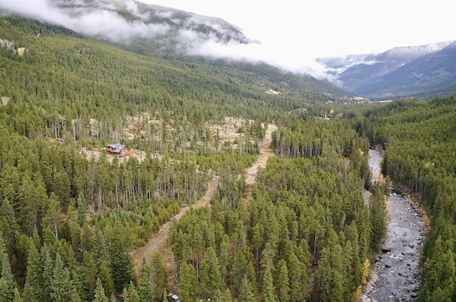 3966 Main Boulder Rd, Big Timber, MT 59011 - mountain view featuring a heavily wooded area