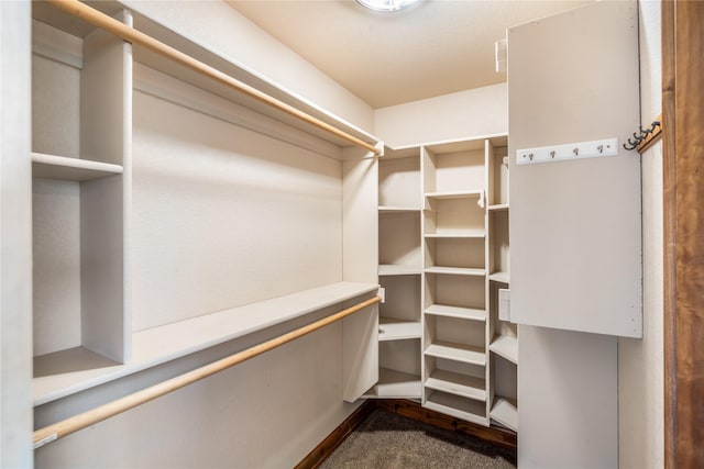 10 Canyon Breeze Ct, Stevensville, MT 59870 - view of walk in closet