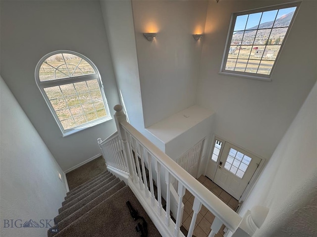 4160 Geneva Ln, Butte, MT 59701 - stairway featuring a towering ceiling, plenty of natural light, and carpet flooring