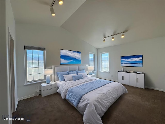 4160 Geneva Ln, Butte, MT 59701 - bedroom featuring track lighting, carpet, baseboards, and vaulted ceiling