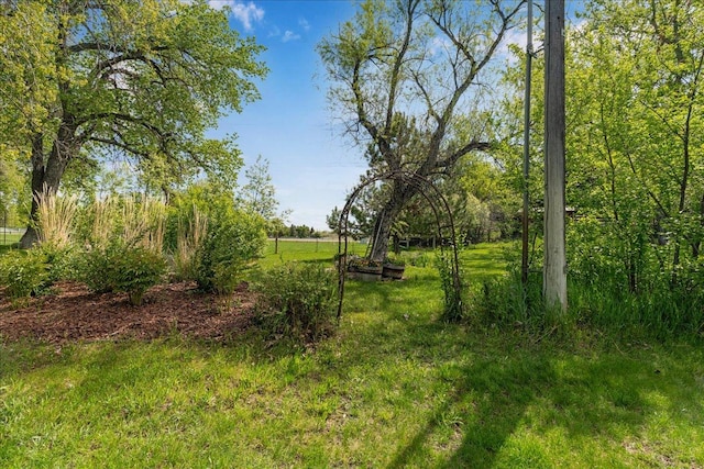 70 Dune Hill Ln, Great Falls, MT 59404 - view of yard