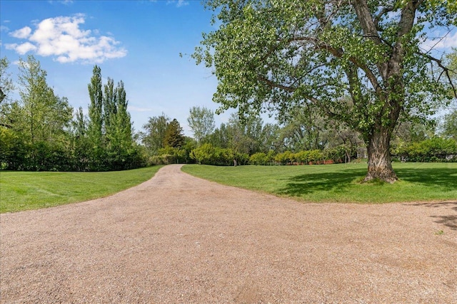 70 Dune Hill Ln, Great Falls, MT 59404 - view of home's community featuring a yard