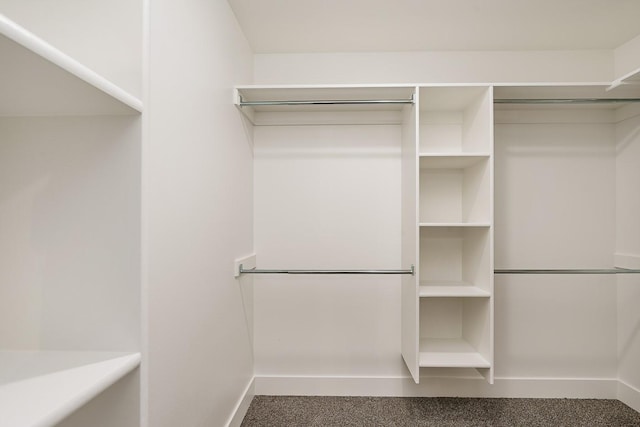 249 Stirling Loop, East Helena, MT 59635 - spacious closet with carpet
