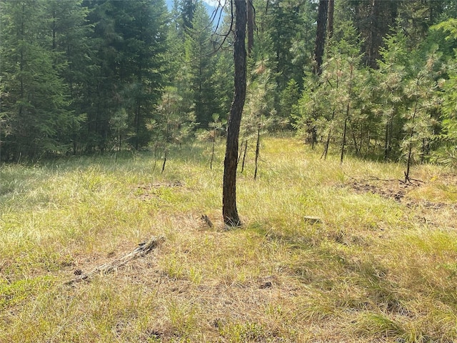 11 Aspen Ct, Superior, MT 59872