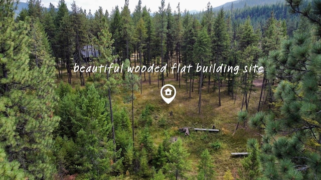 11 Aspen Ct, Superior, MT 59872