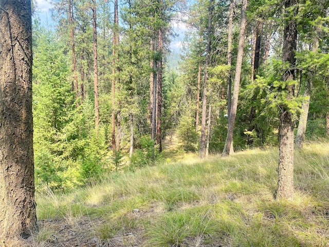 11 Aspen Ct, Superior, MT 59872
