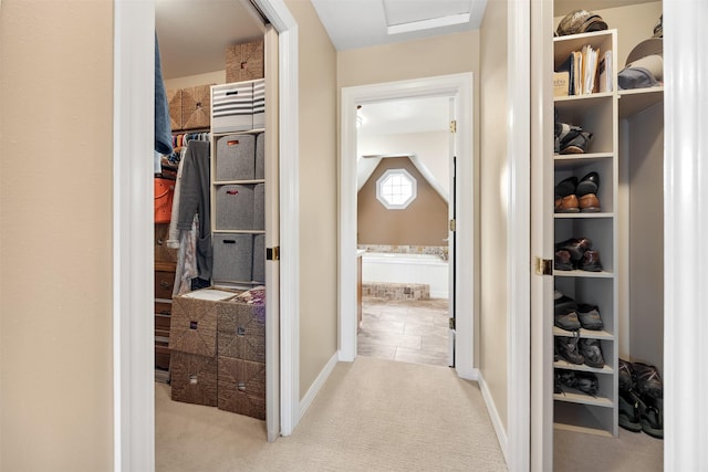 150 Painted Mdws, Butte, MT 59701 - hall featuring carpet floors