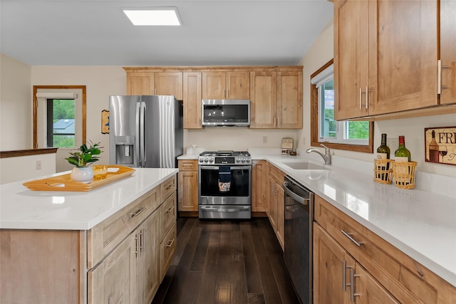 38941 Baypoint Ln, Polson, MT 59860 - kitchen featuring appliances with stainless steel finishes, a sink, dark wood finished floors, and light countertops