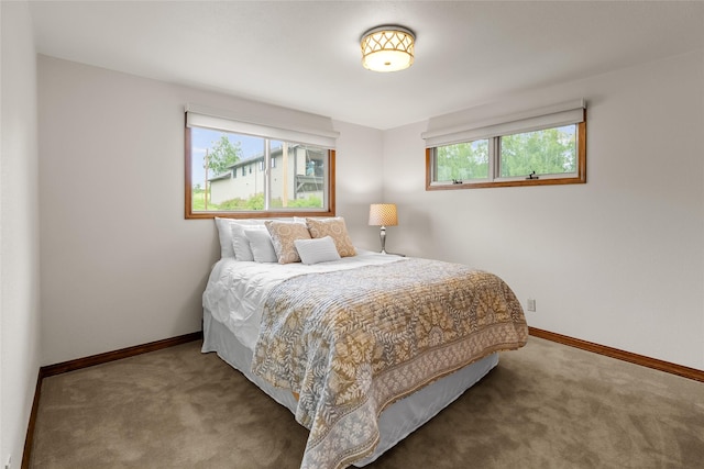 38941 Baypoint Ln, Polson, MT 59860 - bedroom with carpet flooring and baseboards