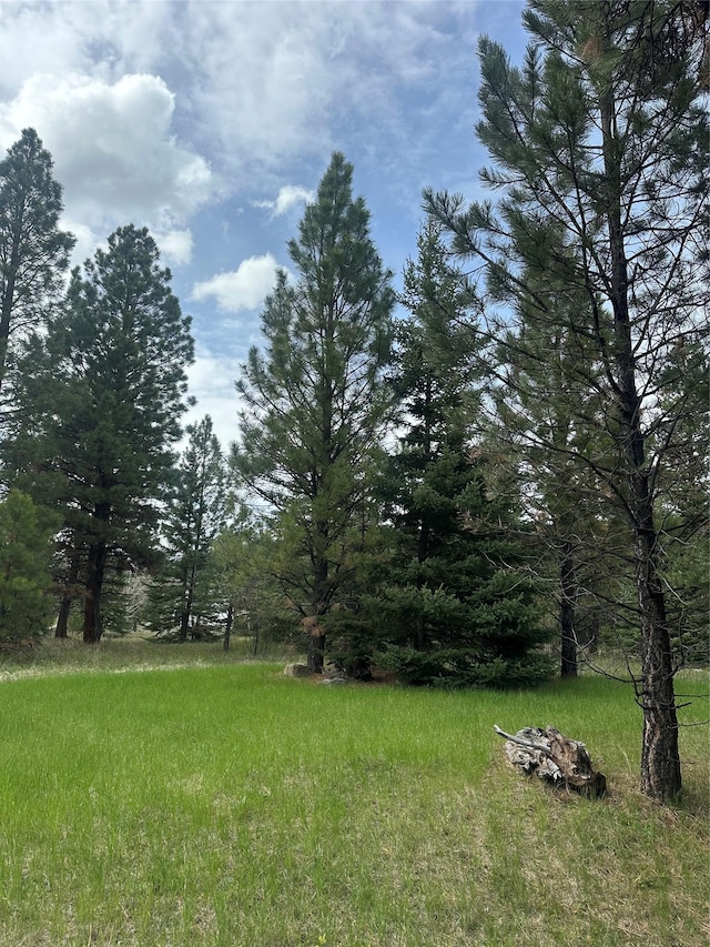 4337 Snowdrift Ln, Lincoln, MT 59639