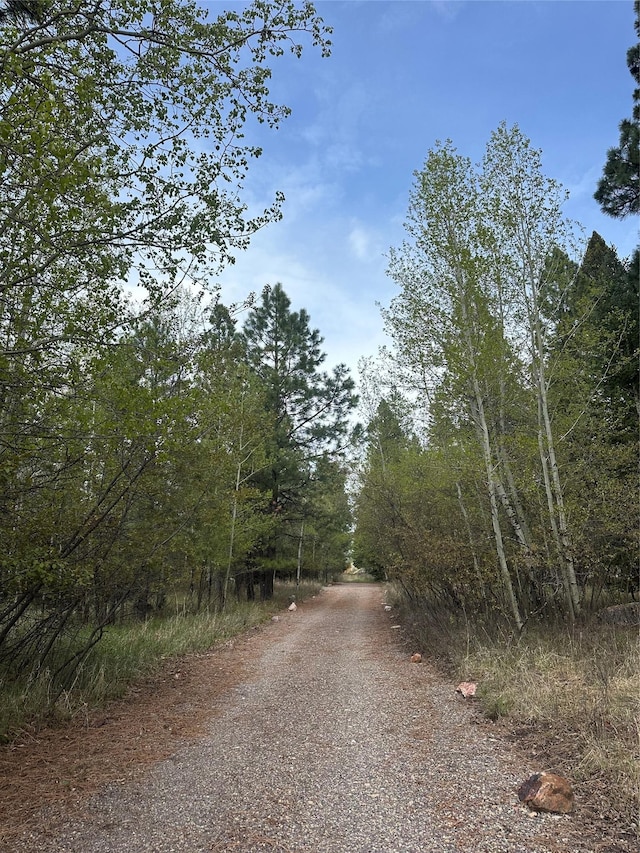 4337 Snowdrift Ln, Lincoln, MT 59639