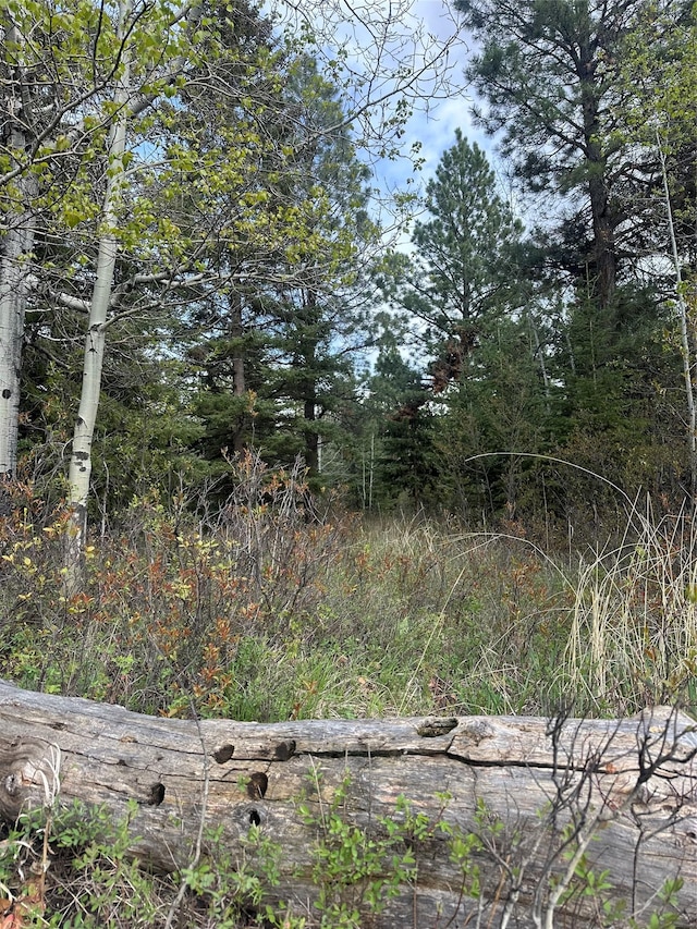 4337 Snowdrift Ln, Lincoln, MT 59639