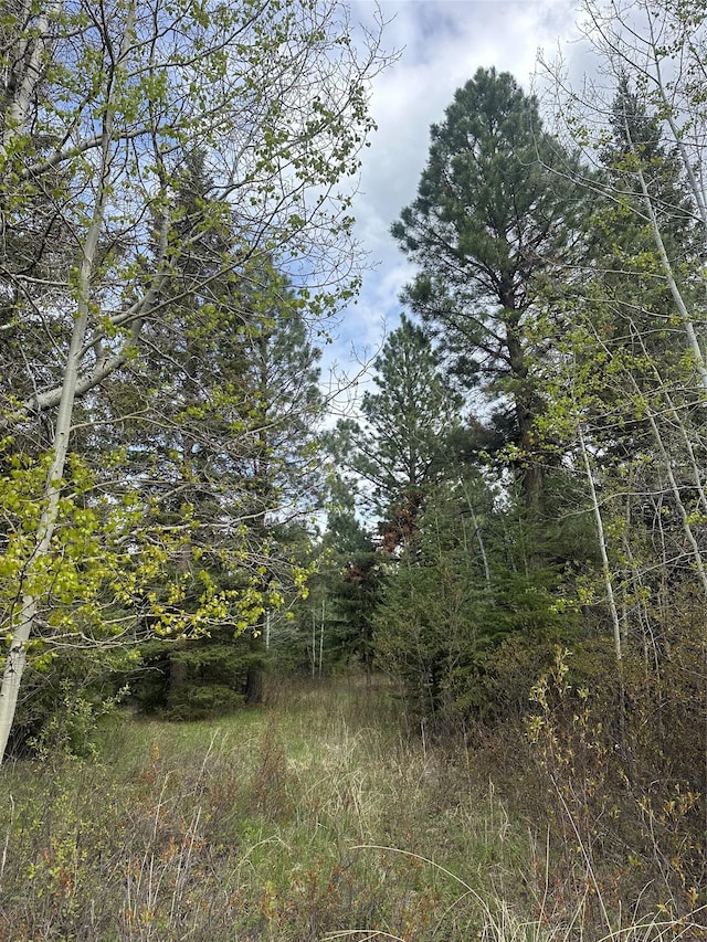 4337 Snowdrift Ln, Lincoln, MT 59639