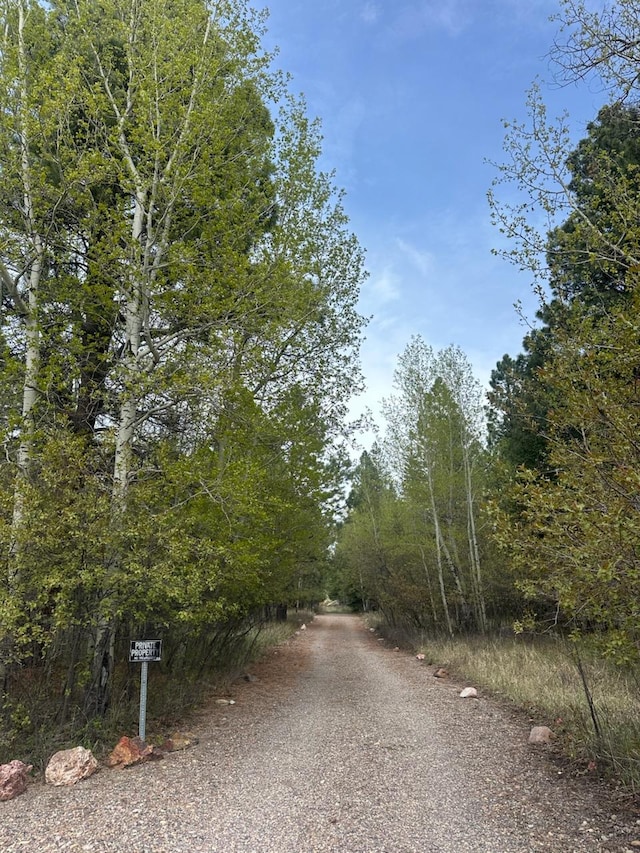 4337 Snowdrift Ln, Lincoln, MT 59639