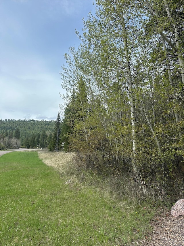 4337 Snowdrift Ln, Lincoln, MT 59639