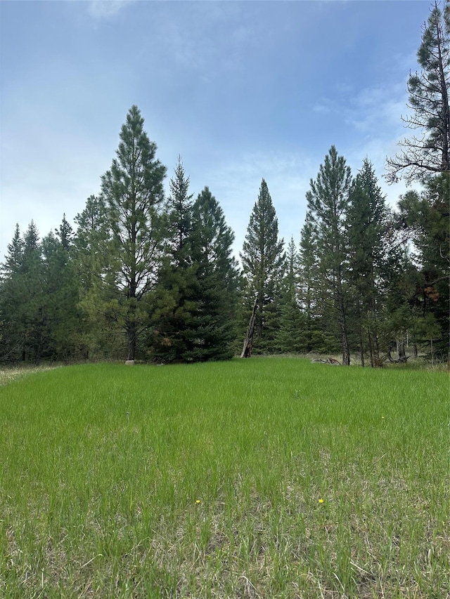 4337 Snowdrift Ln, Lincoln, MT 59639