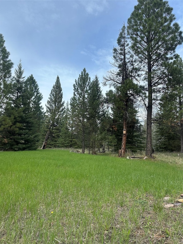 4337 Snowdrift Ln, Lincoln, MT 59639