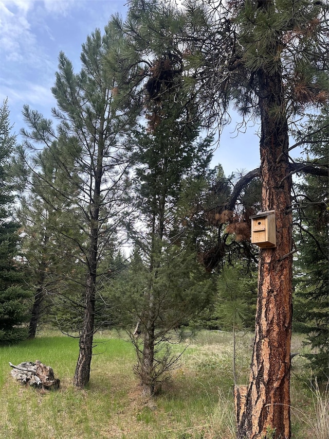 4337 Snowdrift Ln, Lincoln, MT 59639