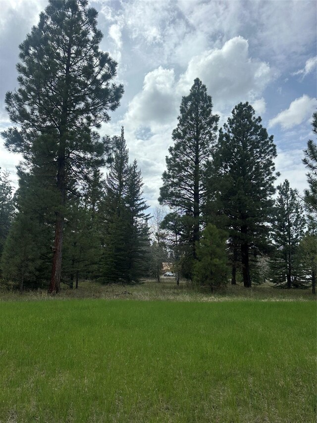 4337 Snowdrift Ln, Lincoln, MT 59639