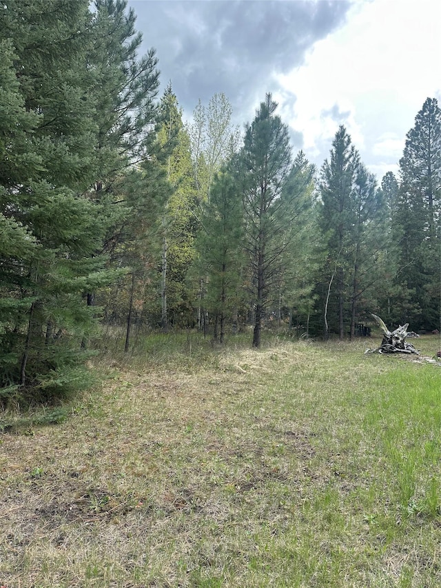 4337 Snowdrift Ln, Lincoln, MT 59639