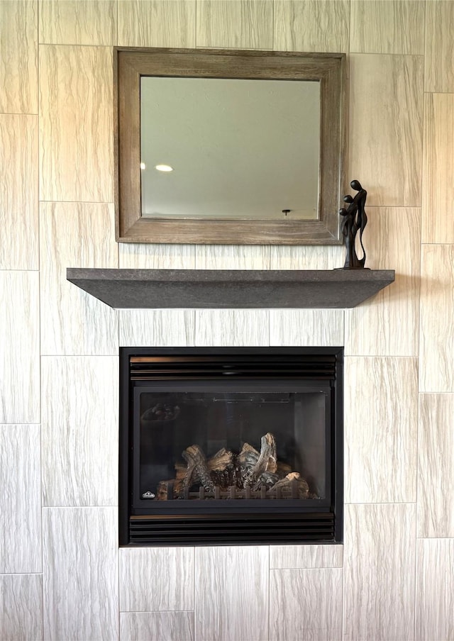 2567 Reardon Rd, Helena, MT 59602 - detailed view of a glass covered fireplace