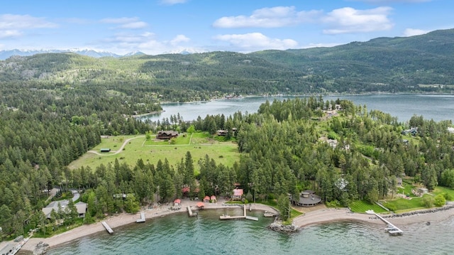 33604 Whitecap Ln, Bigfork, MT 59911 - aerial overview of property's location featuring a heavily wooded area and a water and mountain view