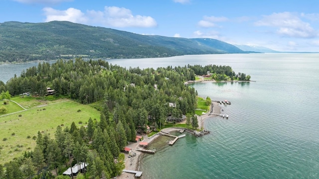 33604 Whitecap Ln, Bigfork, MT 59911 - drone / aerial view of a water and mountain view