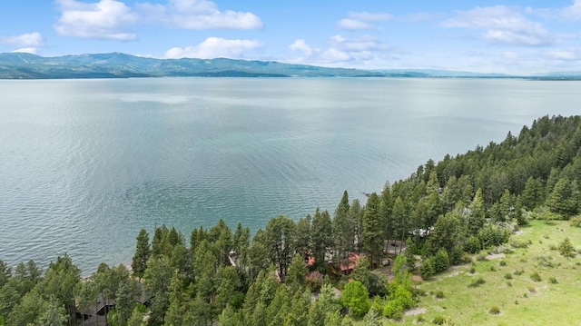 33604 Whitecap Ln, Bigfork, MT 59911 - water view featuring mountains