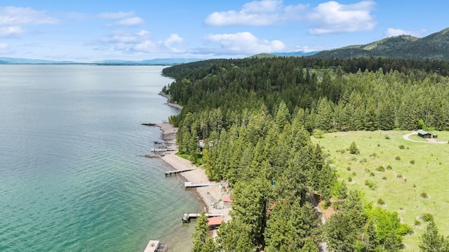 33604 Whitecap Ln, Bigfork, MT 59911 - drone / aerial view of a water and mountain view and a heavily wooded area