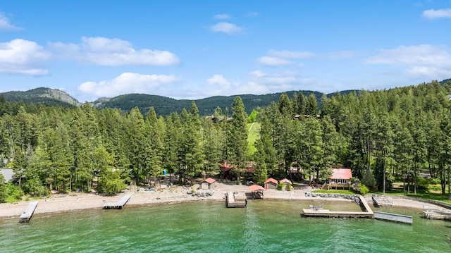 33604 Whitecap Ln, Bigfork, MT 59911 - mountain view featuring a forest and a large body of water