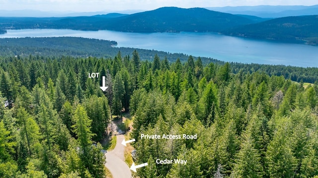 120 Cedar Way, Whitefish, MT 59937