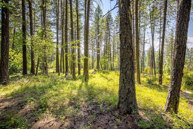 120 Cedar Way, Whitefish, MT 59937