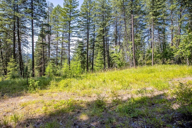 120 Cedar Way, Whitefish, MT 59937