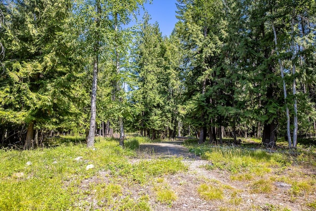 120 Cedar Way, Whitefish, MT 59937