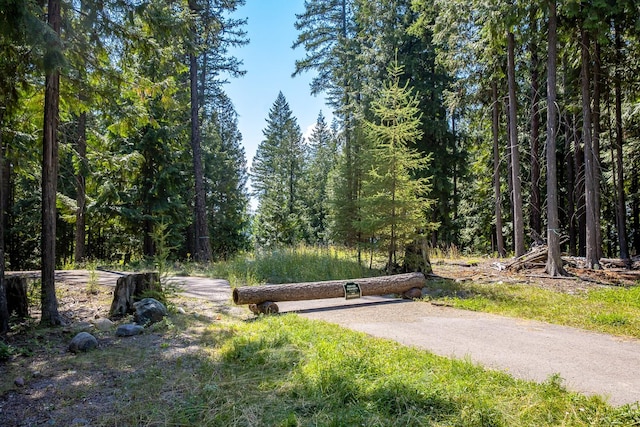 120 Cedar Way, Whitefish, MT 59937