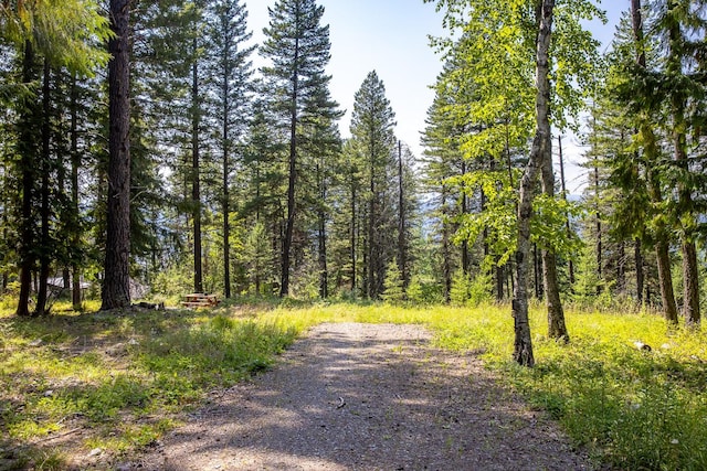 120 Cedar Way, Whitefish, MT 59937