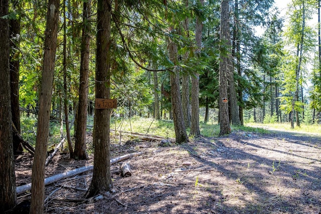 120 Cedar Way, Whitefish, MT 59937