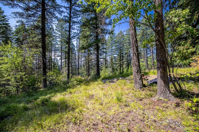 120 Cedar Way, Whitefish, MT 59937