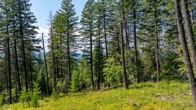 120 Cedar Way, Whitefish, MT 59937