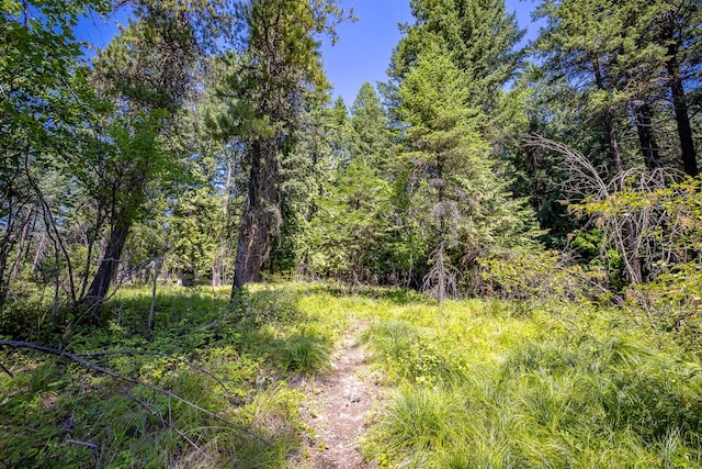 120 Cedar Way, Whitefish, MT 59937