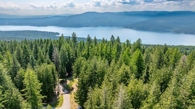 120 Cedar Way, Whitefish, MT 59937