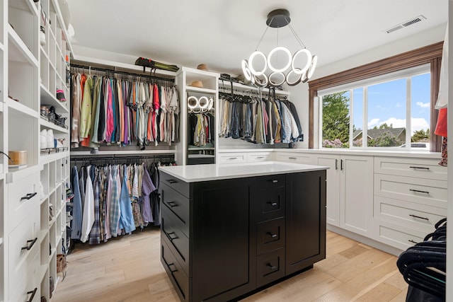4884 Lower Miller Creek Rd, Missoula, MT 59803 - spacious closet featuring light wood-type flooring and a chandelier