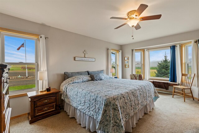 33 Windy Meadow Dr, Townsend, MT 59644 - bedroom featuring light colored carpet, multiple windows, a ceiling fan, and baseboards