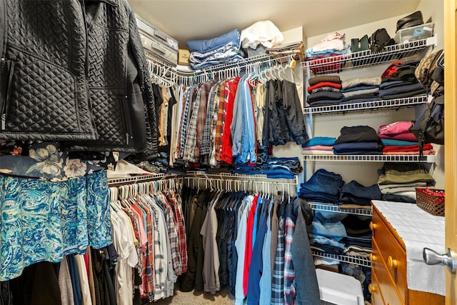 33 Windy Meadow Dr, Townsend, MT 59644 - spacious closet with carpet floors