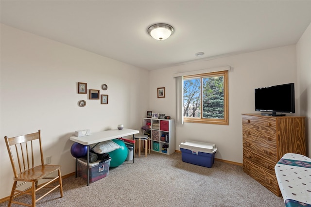33 Windy Meadow Dr, Townsend, MT 59644 - carpeted home office with baseboards