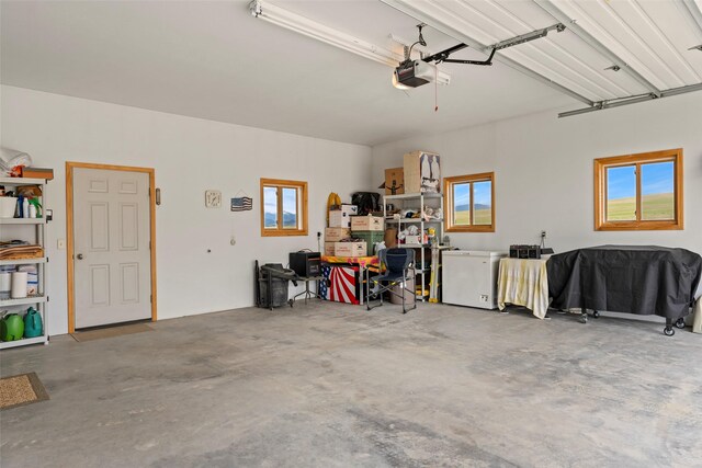 33 Windy Meadow Dr, Townsend, MT 59644 - garage with refrigerator and a garage door opener