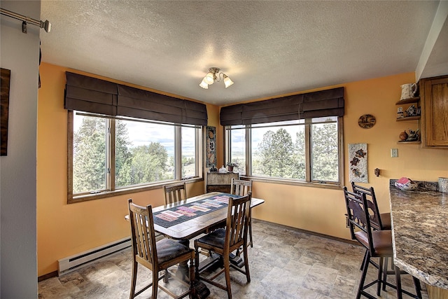 31521 Mcdonald Lake Rd, Saint Ignatius, MT 59865 - dining space with a baseboard heating unit, healthy amount of natural light, a textured ceiling, stone finish flooring, and baseboards