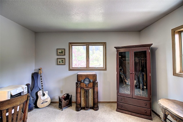 31521 Mcdonald Lake Rd, Saint Ignatius, MT 59865 - sitting room with light colored carpet and baseboards