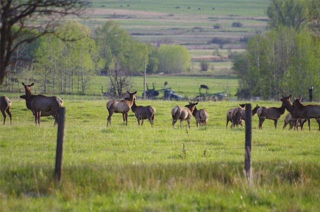 31521 Mcdonald Lake Rd, Saint Ignatius, MT 59865 - view of community featuring a view of countryside