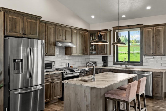 219 Rudys Way, Hamilton, MT 59840 - kitchen featuring appliances with stainless steel finishes, a sink, lofted ceiling, dark brown cabinets, and light stone counters